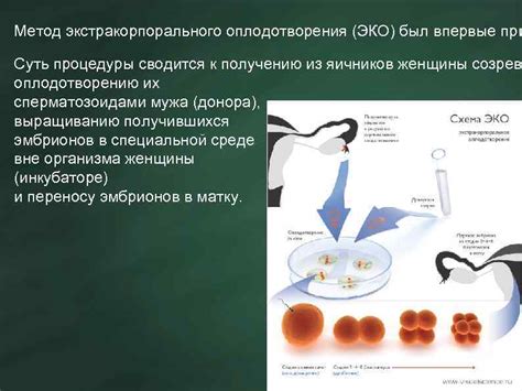 Метод ЭКО при использовании сидероцист