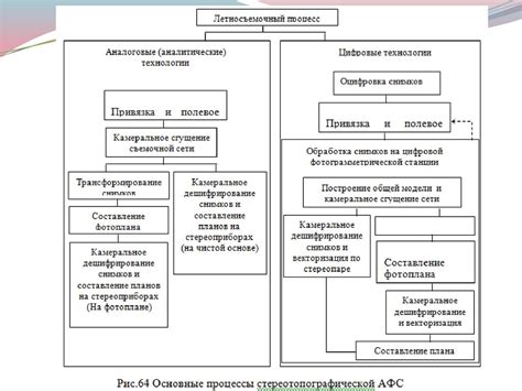 Метод антрального фолликулярного счета (АФС)