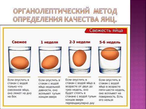 Метод опускания яйца в воду