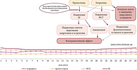 Механизмы действия гемостатика