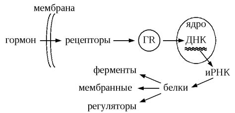 Механизмы действия никотин бустера