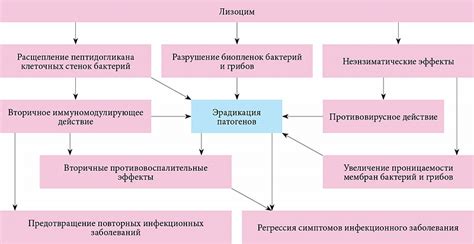 Механизмы действия препаратов для местного применения