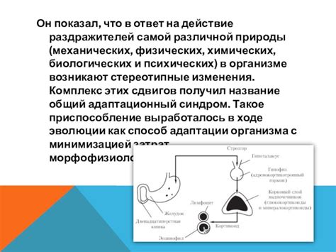 Механизмы преобразования раздражителей в организме