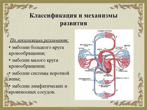 Механизмы развития второго круга кровообращения