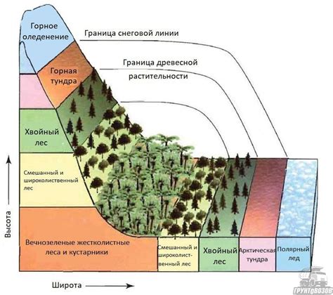 Механизмы смены природных зон