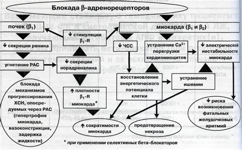 Механизм действия Арбидола: основные моменты