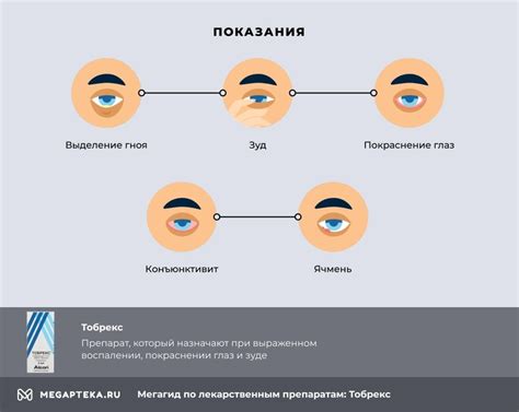 Механизм действия и состав капель Тобрекс