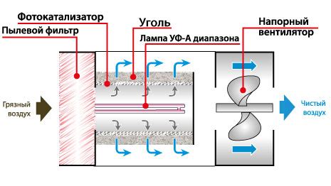 Механизм действия очистителей воздуха