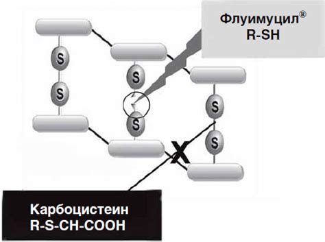 Механизм действия флуимуцила