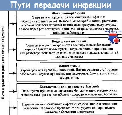 Механизм заражения и основные способы передачи