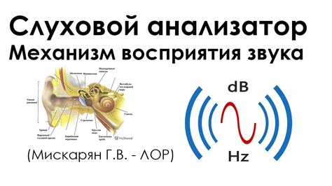 Механизм передачи звука