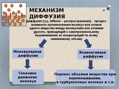 Механизм перемещения вещества при деплазмолизе