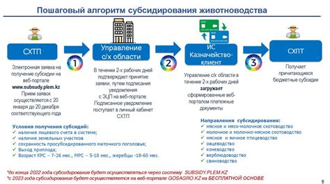 Механизм получения государственной поддержки