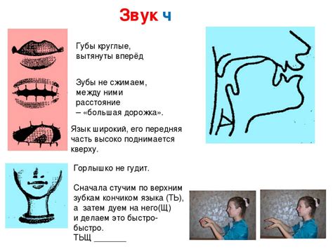 Механизм различения и модуляция звуков при произношении