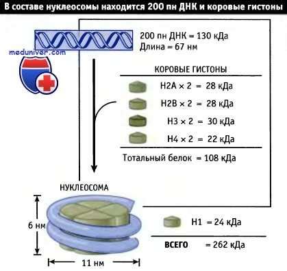 Механизм удаления