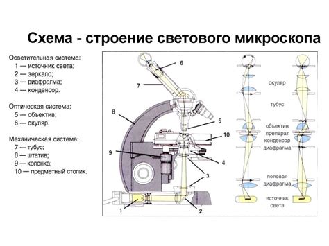 Механическая конструкция микроскопа