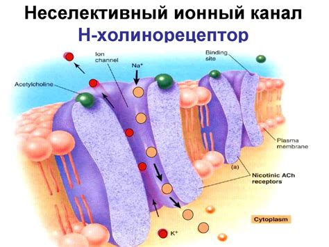 Механический способ активации