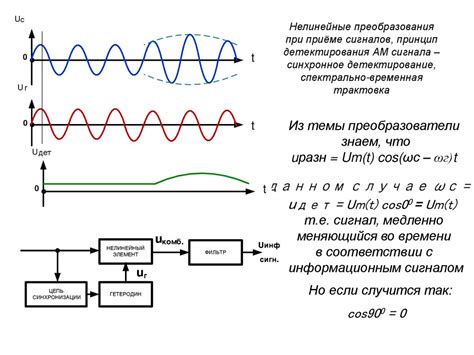 Миелинизация и влияние на передачу сигналов