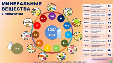 Минеральные вещества: полезные силы для организма