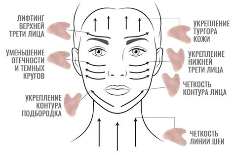 Мифы и правда о массаже лица улитками: что вам нужно знать