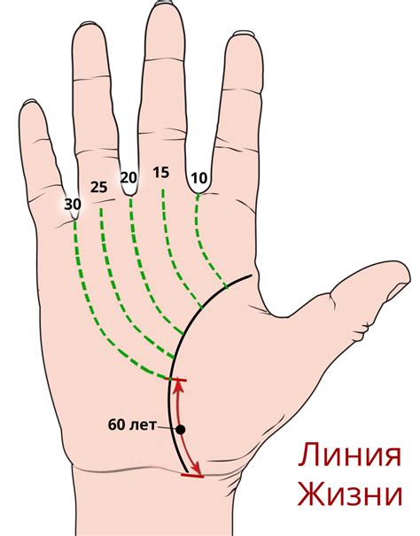 Многочисленные линии на руке