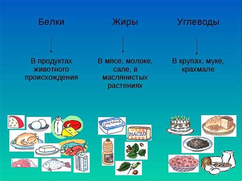 Много белка и мало углеводов: топ продуктов для здорового питания