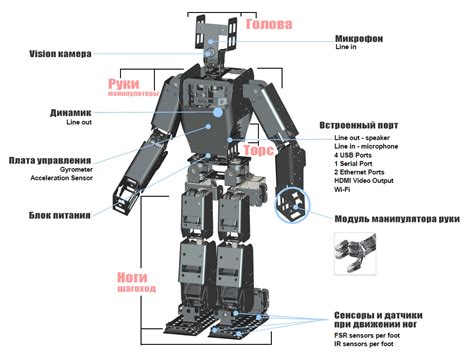 Моделирование основных частей робота