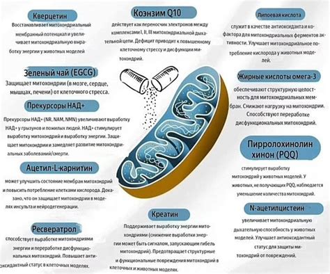 Модели iPhone, поддерживающие работу с наушниками Philips