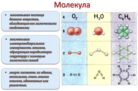 Молекула: определение и общая структура