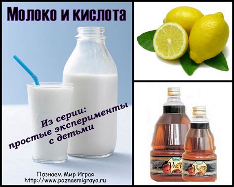 Молоко, сливки и кислота