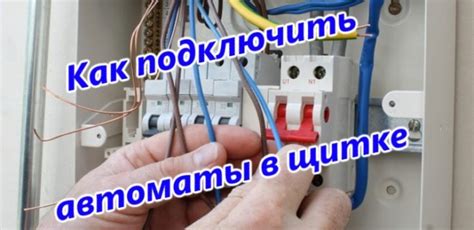 Монтаж коробки с автоматами