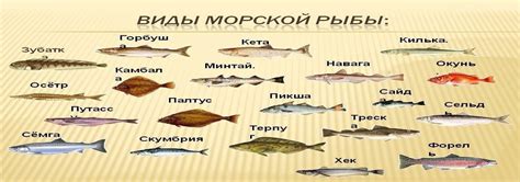 Морская рыба семейства ряпушковых