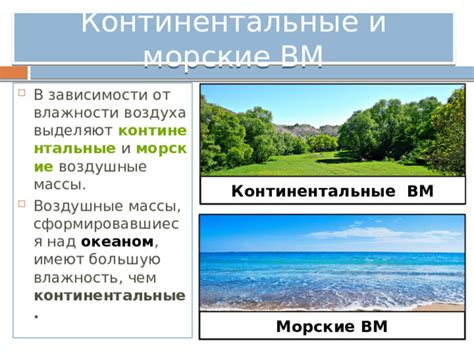 Морские воздушные массы