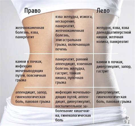 Мужский живот: особенности и проблемы