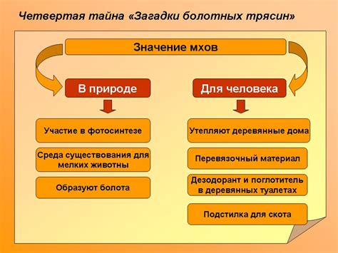 Мхи в тинкерс: роль и функции