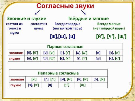 Мягкость и твердость согласных звуков