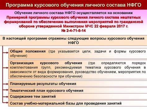 НФГО в ГО и ЧС: основные принципы работы и задачи организации