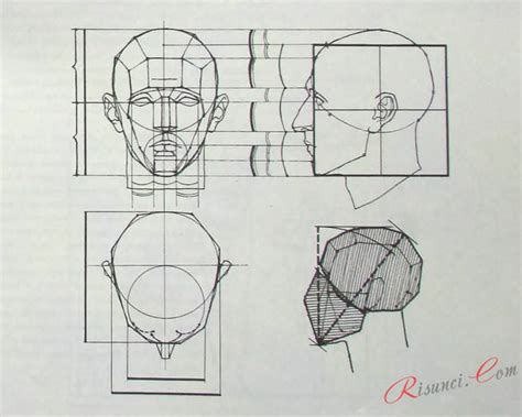Набросок основных форм тела и головы
