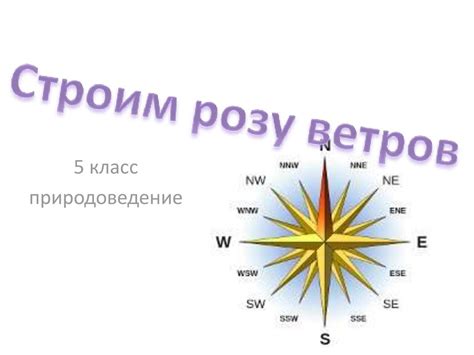 Назначение розы ветров в географии 6 класс