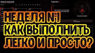 Наилучшие стратегические решения финского снайпера