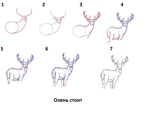 Найдите подходящий рисунок оленя