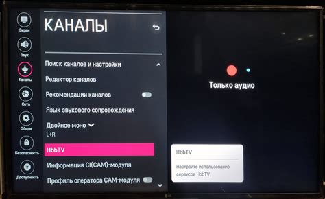 Найдите пункт «HBBTV»