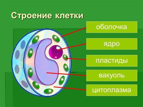 Найдите ядро вашего бренда