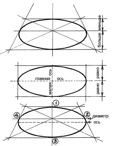 Нарисовать овал для морды