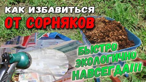 Народные методы с применением картошки