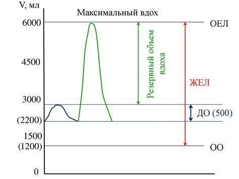 Нарушение биомеханики дыхания 1 степени: