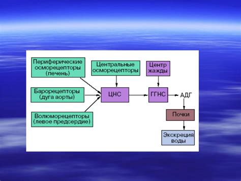 Нарушение водно-электролитного баланса