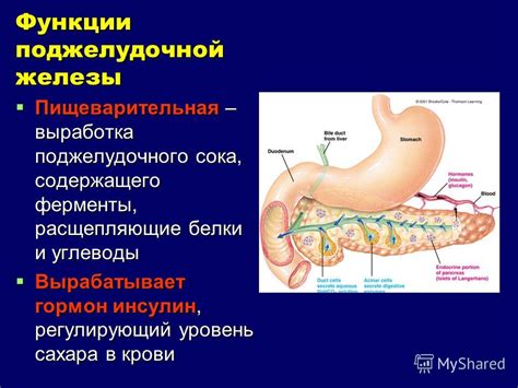 Нарушение функции поджелудочной железы