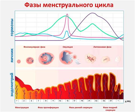 Нарушение функции эндометрия