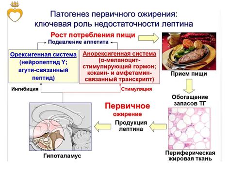 Нарушения жирового обмена